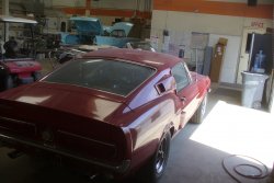 130702 Mustang Shelby (5).JPG